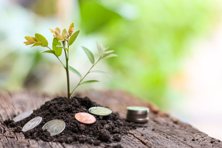 Investment concept, Coins with plant growing out of the soil.の写真素材