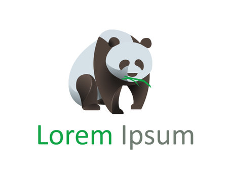 Vector illustration of panda bear, modern animal conceptのイラスト素材