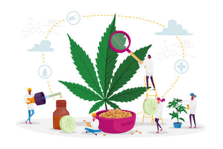 Scientist Characters Growing Medical Cannabis and Preparing Homeopathic Medicine of Marijuana. Cannabis for Personal Useのイラスト素材