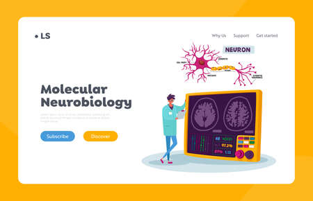 Molecular Neurobiology Landing Page Template. Tiny Scientist Male Character Wearing Medical Robe Look on Human Brainのイラスト素材