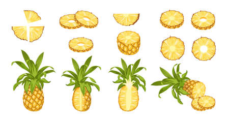 Set of Pineapples Isolated Design Elements, Tropical Plant. Whole, Half and Sliced Fruit with Juicy Pulp. Ripe Productのイラスト素材