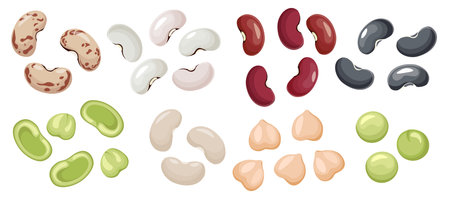 Set of Bean Icons, Green, Red, White, Grey Seeds, Chickpea Natural Vegetable, Healthy Food Isolated...