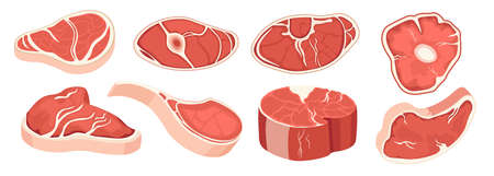 Set of Icons Steak Raw Pieces, Meat Cuts of Different Shape and Size, Meal for Barbeque, Fresh Beef Slices for Cookingのイラスト素材