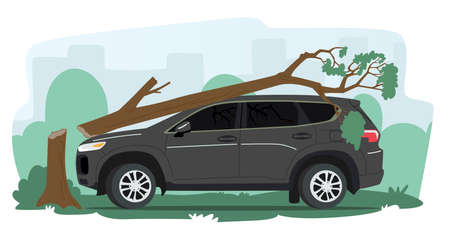 Broken Car with Tree Fall on Automobile Roof and Windshield. Nature Disaster, Accident in City or Suburban Areaのイラスト素材