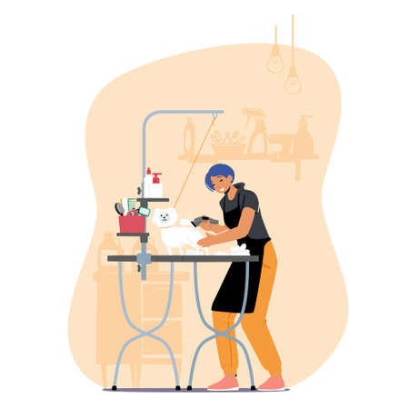 Hairdresser Groomer Female Character Trimming Cute Dog in Salon. Pet Hair Styling and Grooming Shop, Store for Dogsのイラスト素材