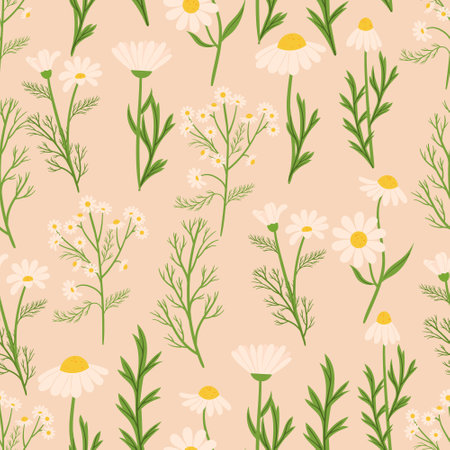 Seamless Pattern Featuring Chamomile Flowers. Background With Delicate Design Of Repeating Floral Ornament For Textilesのイラスト素材