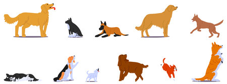 Dog Breeds Obeying Different Training Commands. Cartoon Pets Performing Actions Such As Sitting, Lying Down, Stayingのイラスト素材