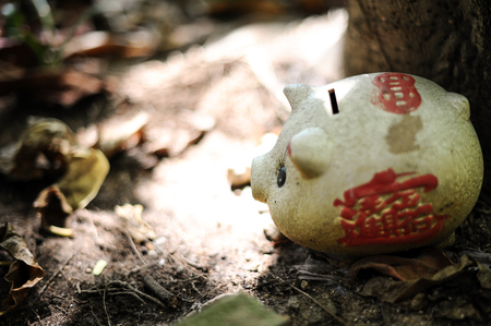 Piggy Bankの写真素材