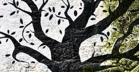 painted wood on a concrete wallの写真素材