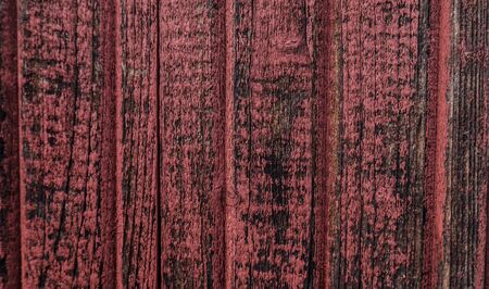 texture of the old board colorの写真素材
