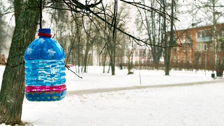 bird feeder in the parkの写真素材