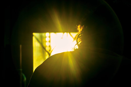 glare of light in the shape of a circle color