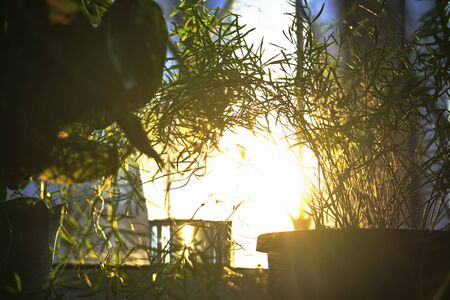 bright sunset outside the window colorの写真素材