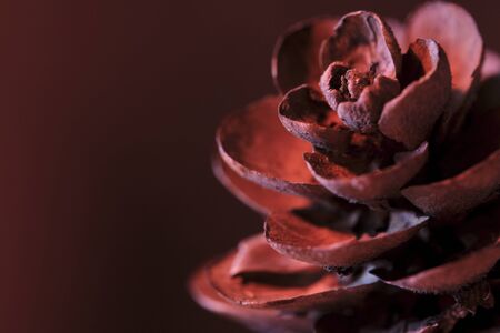 macro leaf bumps, low light, red background colorの写真素材