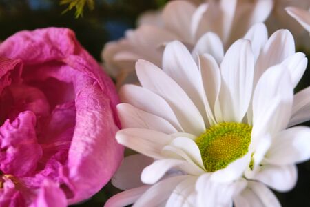 Close-up Large Beautiful bouquet of mixed flowers. Flower background and Wallpaper. Floral shop concept . Beautiful fresh cut bouquet. Flowers delivery colorの写真素材