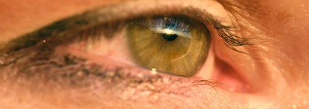MOSCOW-may 29, 2020: a white cat lies on a box that came from the Beru online store. The General plan, the Turkish Angora colorのeditorial素材