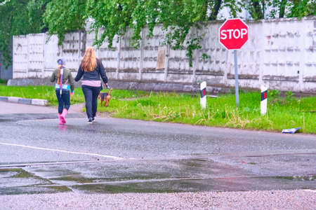 MOSCOW-may 29, 2020: a woman with a dog moves a girl across the road in the wrong placeのeditorial素材