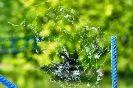 beautiful web blurred background general planの写真素材