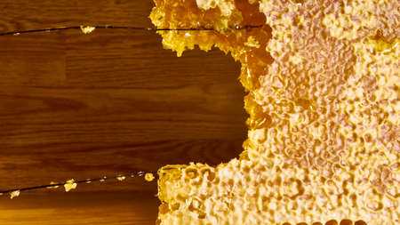 bee honey in hexagonal honeycombs filled with Golden nectar. Honeycomb summer composition, consisting of drops of natural honey, dripping on the wax frame of the bee.の写真素材
