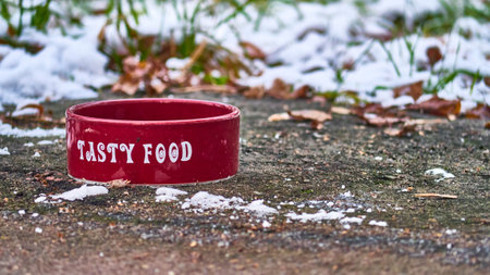 Pet bowl stands on the ground in winter