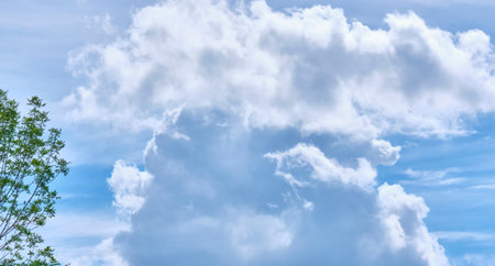 beautiful cumulus clouds. general plan. day light color