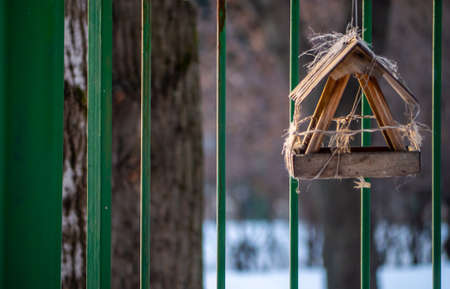 homemade bird feed in moscow park. general planの写真素材