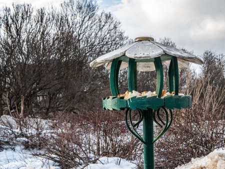 bird feed in moscow park. general planの写真素材