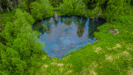 Aerial view of wild forest lake.の写真素材