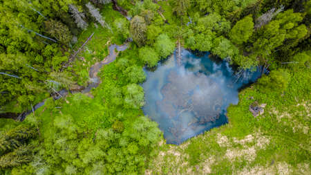 Aerial view of wild forest lake.の写真素材