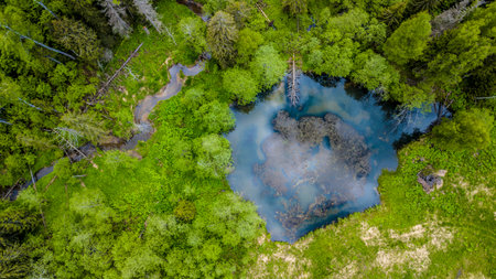 Aerial view of wild forest lake.の写真素材