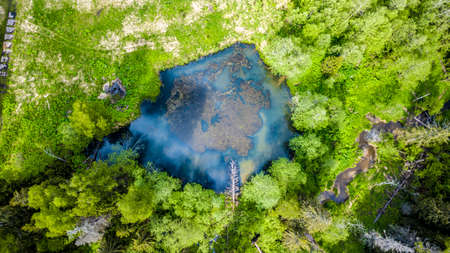 Aerial view of wild forest lake.の写真素材