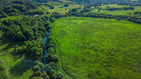 Vast, flat terrain covered with green arable fields and meadows. You can see a dirt road, clumps of...