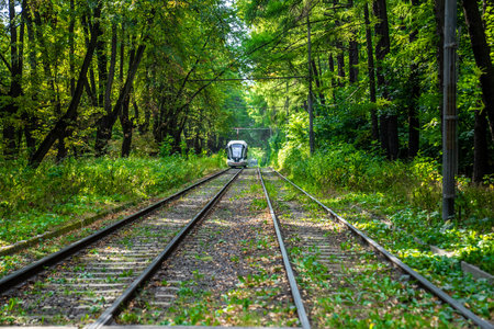 Russia, Moscow 2022. The tram goes through the forest. Tram rails in the corridor of trees in Moscow.のeditorial素材