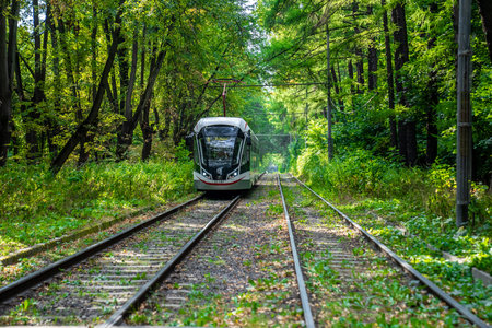 Russia, Moscow 2022. The tram goes through the forest. Tram rails in the corridor of trees in Moscow.のeditorial素材