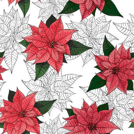 Poinsettia flower background for invitation  cardのイラスト素材