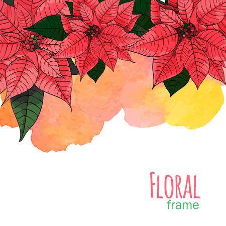 Poinsettia flower background for invitation  cardのイラスト素材