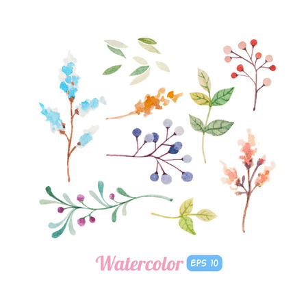 Set of watercolor floral elements for decorationのイラスト素材