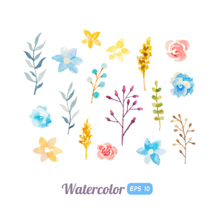 Set of watercolor floral elements for decorationのイラスト素材