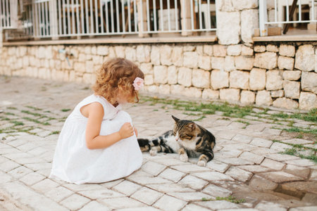 Little girl playing with cat outdoorの写真素材