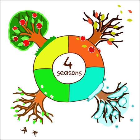 trees in four seasons for design of a calendarのイラスト素材