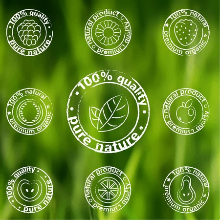 vector painted fruit icon set - labels of natural organic productsのイラスト素材