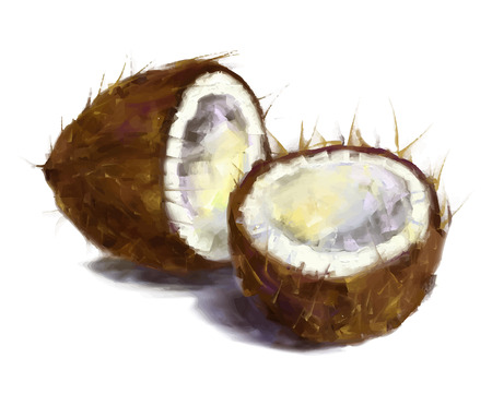 vector isolated coconut - drawn by oil paintsのイラスト素材