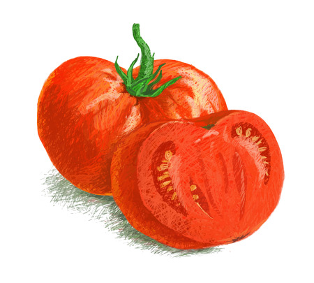 vector isolated tomato with slice - drawn by colored pencils on white backgroundのイラスト素材