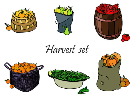 vector harvest setのイラスト素材