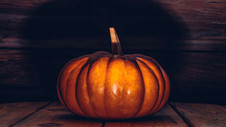 Halloween pumpkin on wooden floorの写真素材