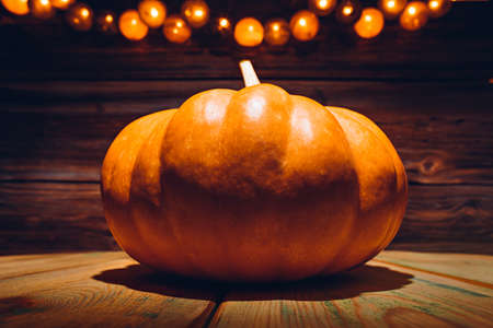 Halloween pumpkin with holiday lightsの写真素材