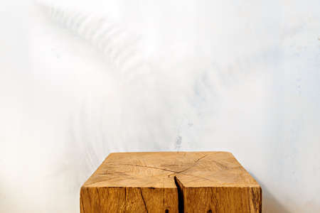 Wooden showcase with fern leaf shadow on plastered wallの写真素材