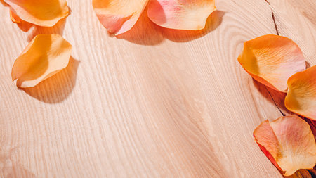 Rose petals on wood in sunlight. Simple rural beauty