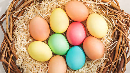 Rural Easter composition with colorful eggs in the nestの写真素材