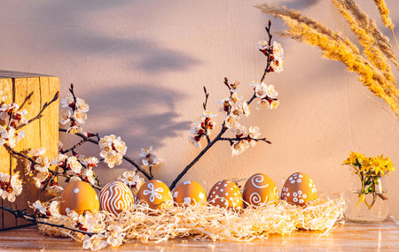 Brown eggs with warm sunlight huesの写真素材